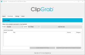 ClipGrab Enter Video